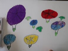 IMG_3517.jpg
