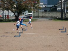 IMG_4160.jpg