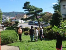 IMG_2503.jpg