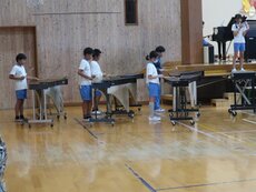 IMG_2286.jpg