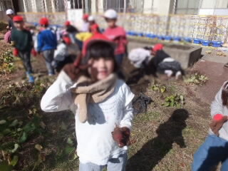 satumoiamohori11.jpg