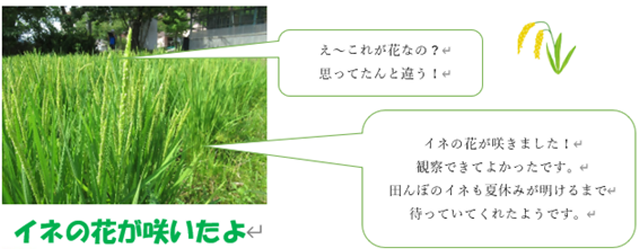 42gakkisutato41.png