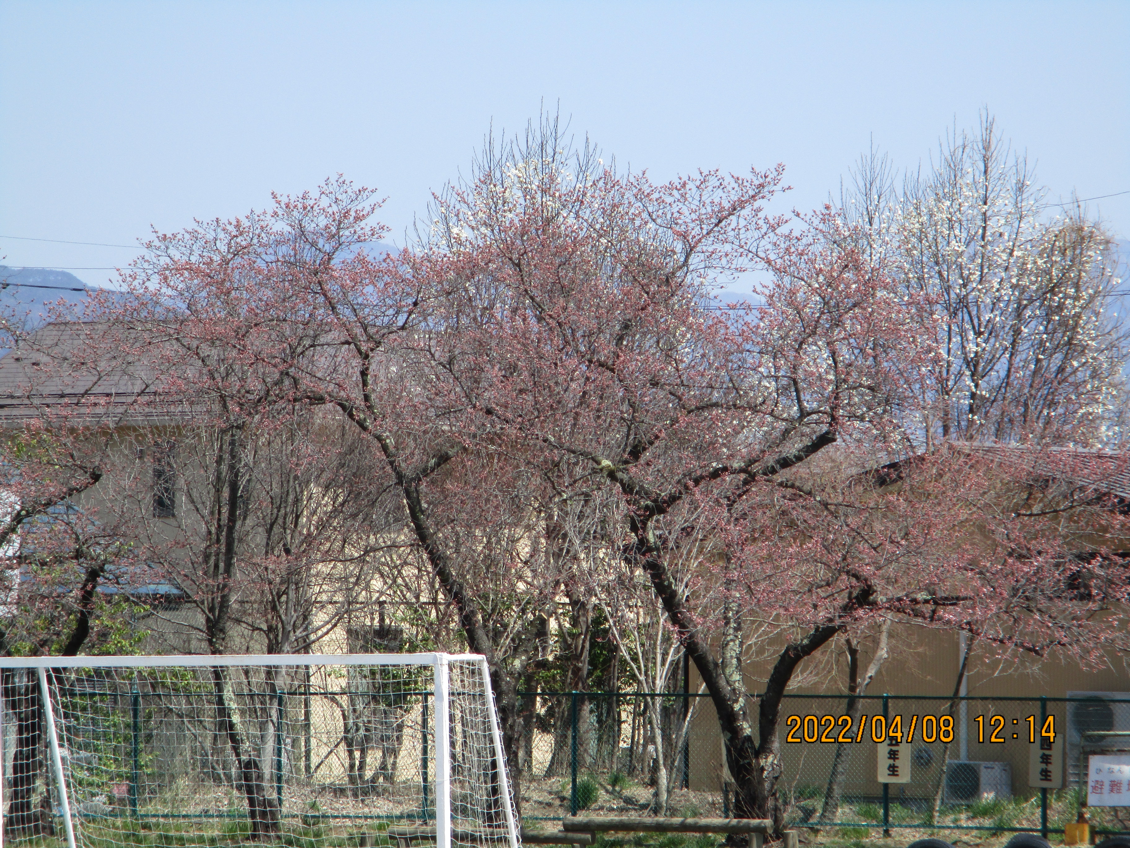 IMG_0022.JPG
