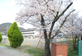gonyugaku11.png