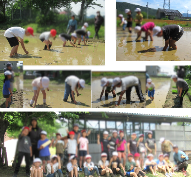 taue44103.png
