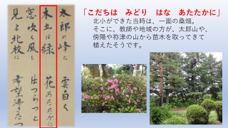 20230614_kocyokowa04.PNG