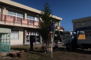 202312_XmasTree02.JPG