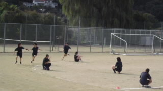 IMG_4113.jpg