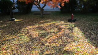 IMG_4442.jpg