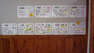 IMG_5062.jpg
