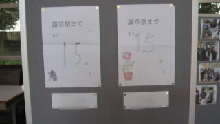 IMG_5175.JPG