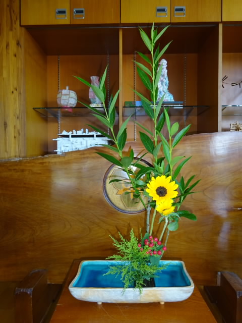 DSC00230.JPG