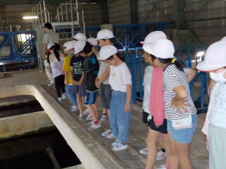 20250606-4.josuijo2.JPG