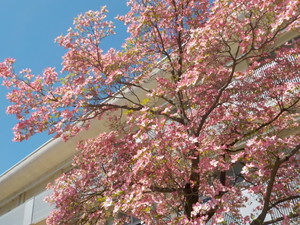 DSCN0054.JPG