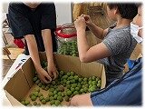 画像3.jpg