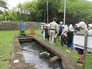IMG_0061.jpg