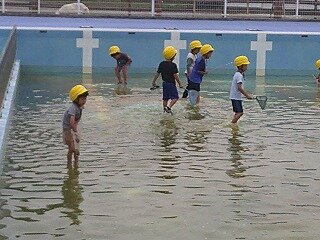 DSCF0006.jpg