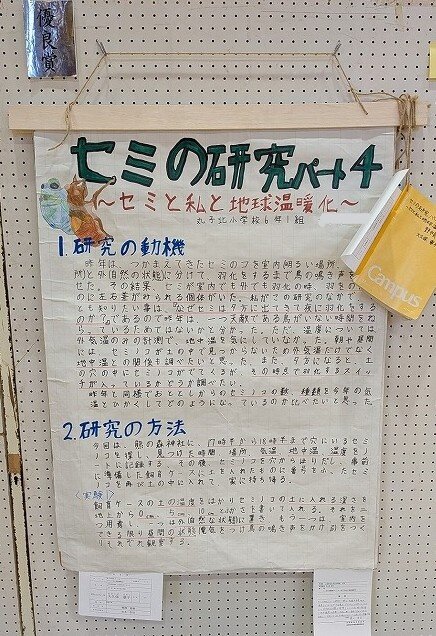 12213 (2)_LI.jpg