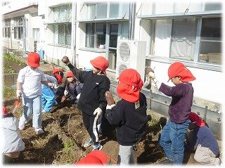 画像1.jpg