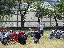 IMG_1326.jpg