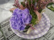 DSCF0047.jpg