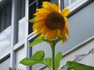 IMG_0568.jpg