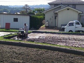 DSCF0014.jpg