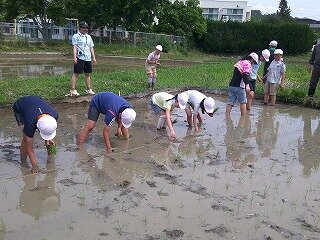 DSCF0052.jpg