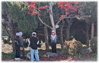 画像49.jpg