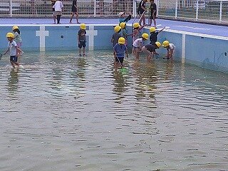 DSCF0004.jpg