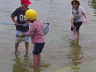 DSCF0007.jpg