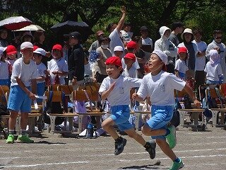 DSC09246.jpg