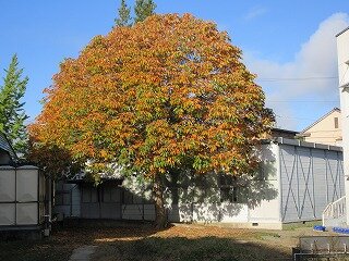 IMG_2869.jpg