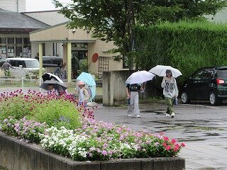 IMG_1602.jpg