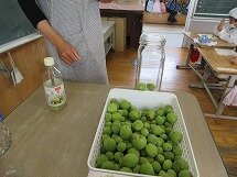 IMG_0120.jpg