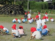 IMG_1331.jpg