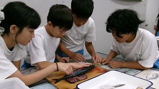 135_0429.jpg