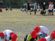 IMG_1325.jpg