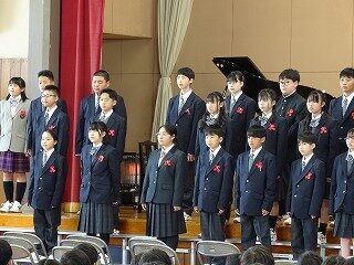 DSC08895.jpg