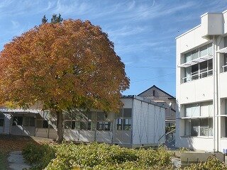 P1290050.jpg