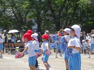 DSC09267.jpg