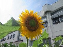 IMG_0870.jpg