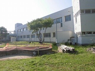 CIMG6387.jpg