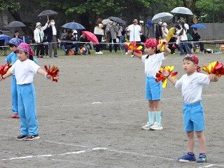 DSC02423.jpg
