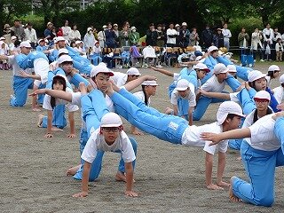 DSC08504.jpg