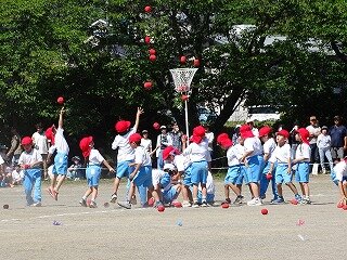 DSC09107.jpg