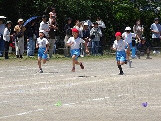 DSC09242.jpg