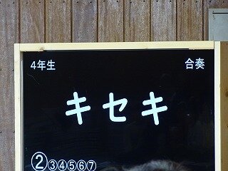 DSC09433.jpg