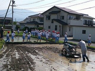 DSCF0016.jpg