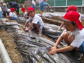 DSCF0057.jpg
